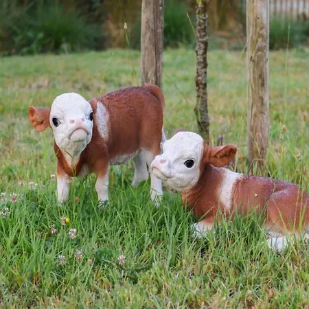 Seaside Comfort With Parking Nieuwpoort