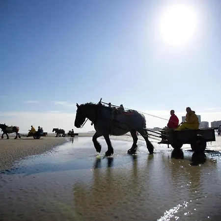 Seaside Comfort With Parking Nieuwpoort